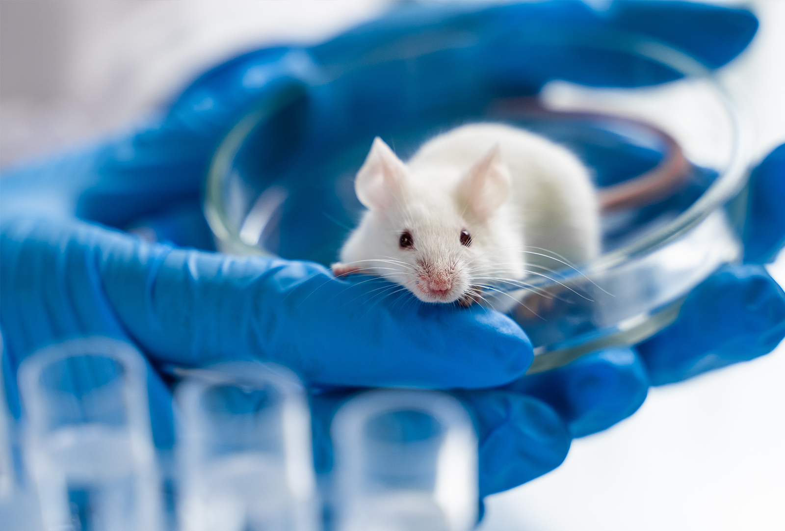 Elemental Biologics Laboratory